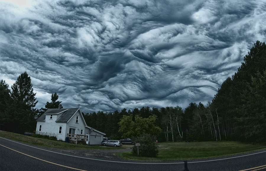 asperatus