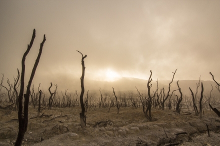 Marche Mondiale pour le Climat – 8 Décembre