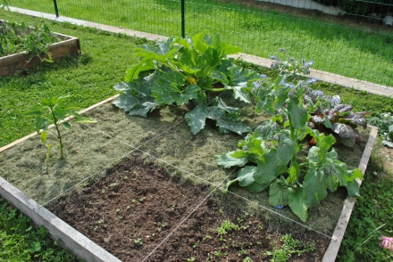 Ebook : Guide pratique du potager en carré