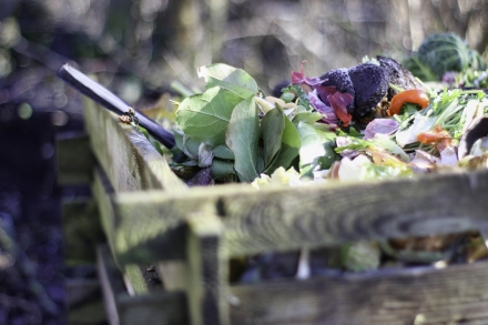 5 Poubelles à compost de cuisine