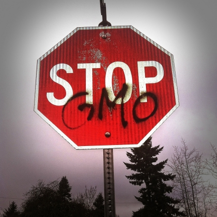 OGM : Monsanto retire le MON863 du marché européen